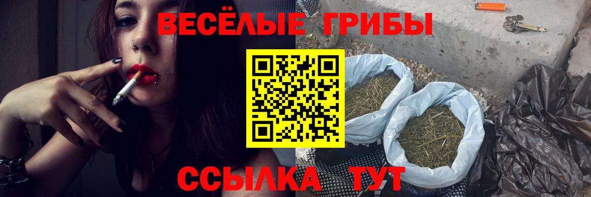 Псилоцибиновые грибы прущие грибы  Вход с VPN  Ковров 